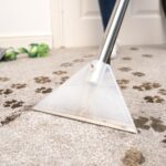 Henry Wash, HVW 370-2 Wet Vacuum Carpet Cleaner, 1000 Watt, Blue