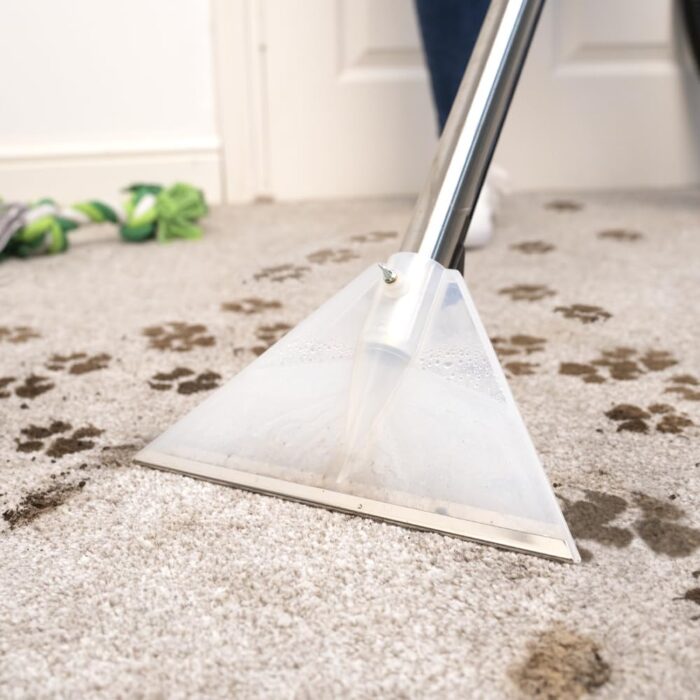 Henry Wash, HVW 370-2 Wet Vacuum Carpet Cleaner, 1000 Watt, Blue