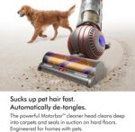 Dyson Ball™ Animal Multi-floor Vacuum Cleaner, de-tangles hair, deep cleaning with pets (Copper/Silver)